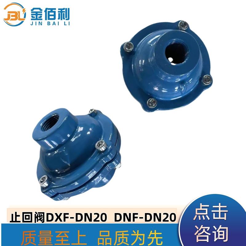 纽普兰止回阀 单向阀 逆止阀DXF-DNF-DN20
