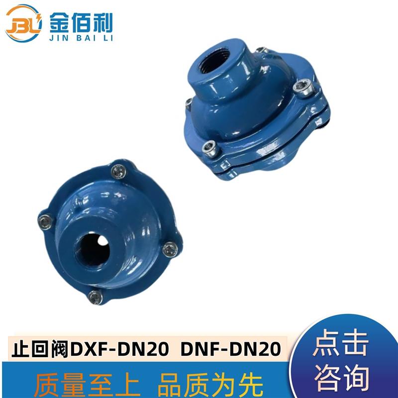 纽普兰止回阀 单向阀 逆止阀DXF-DNF-DN20