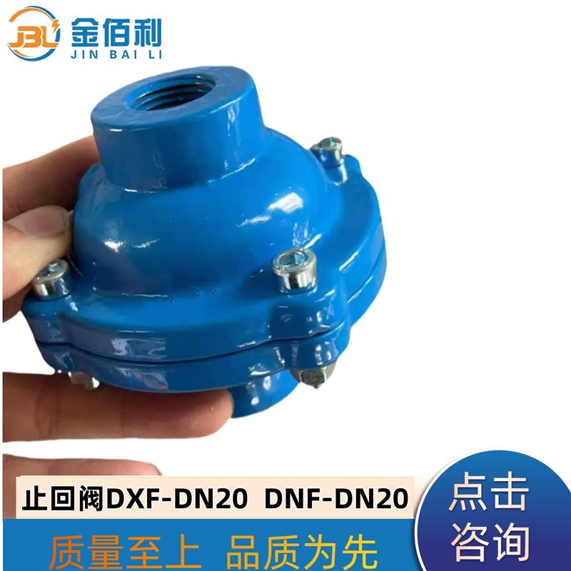 纽普兰止回阀 单向阀 逆止阀DXF-DNF-DN20