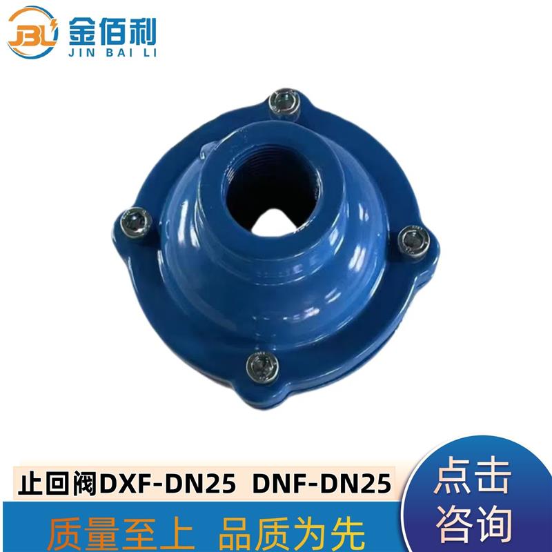 纽普兰止回阀 单向阀 逆止阀 DXF-ZNF-DN25