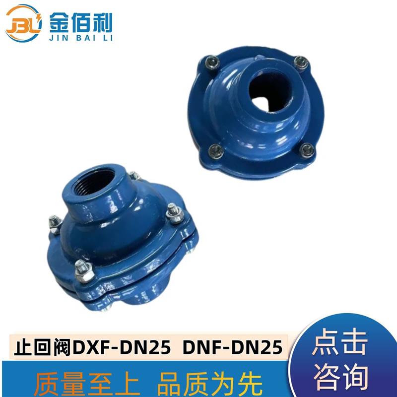 纽普兰止回阀 单向阀 逆止阀 DXF-ZNF-DN25
