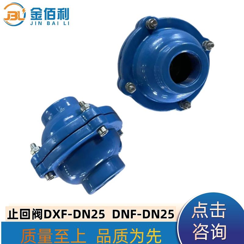 纽普兰止回阀 单向阀 逆止阀 DXF-ZNF-DN25