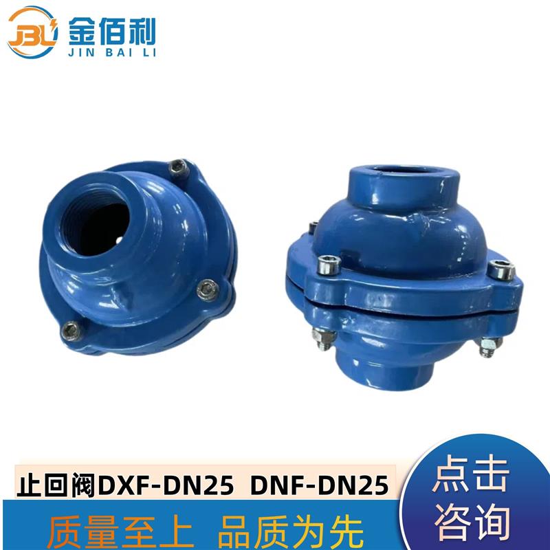 纽普兰止回阀 单向阀 逆止阀 DXF-ZNF-DN25