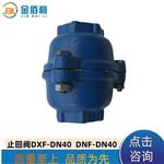 纽普兰单向阀 止回阀 逆止阀 DXF-ZNF-DN40
