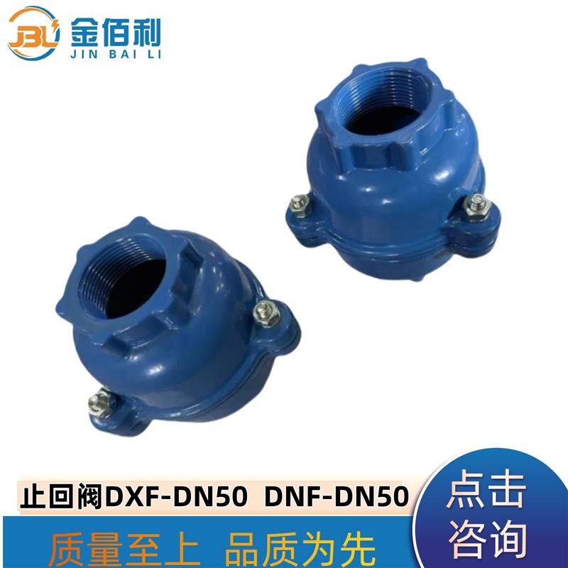 纽普兰单向阀 止回阀 逆止阀 DXF-ZNF-DN40