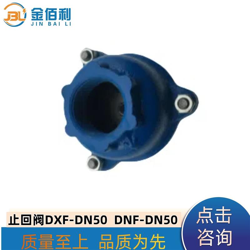 纽普兰单向阀 止回阀 逆止阀 DXF-ZNF-DN40