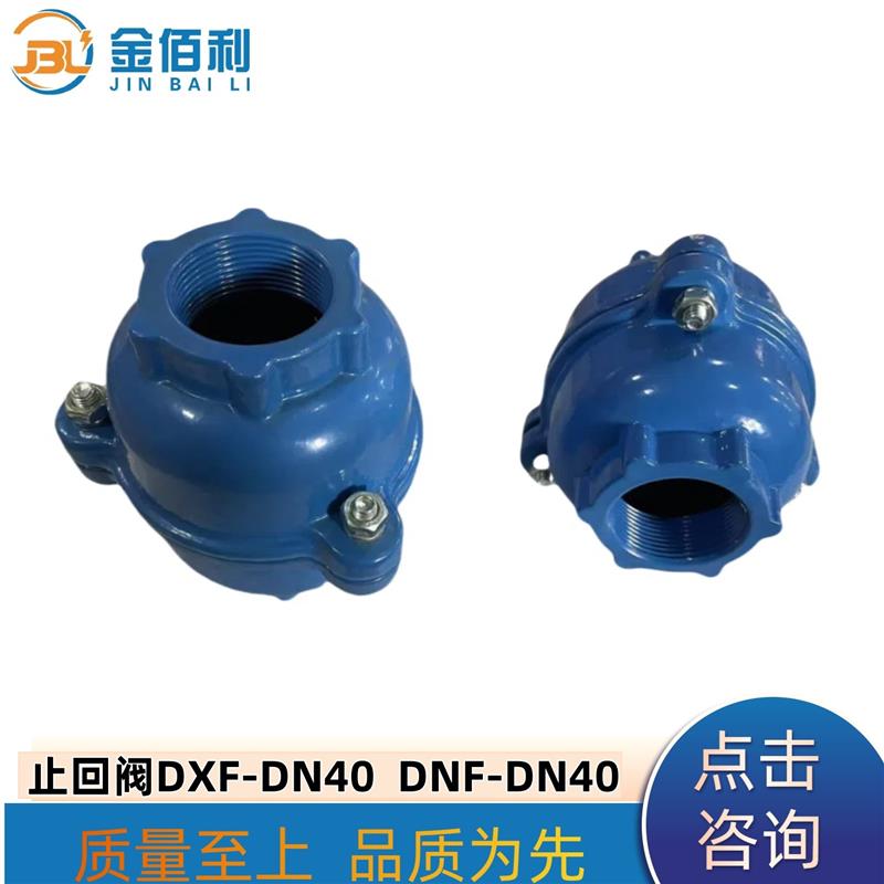 纽普兰单向阀 止回阀 逆止阀 DXF-ZNF-DN40