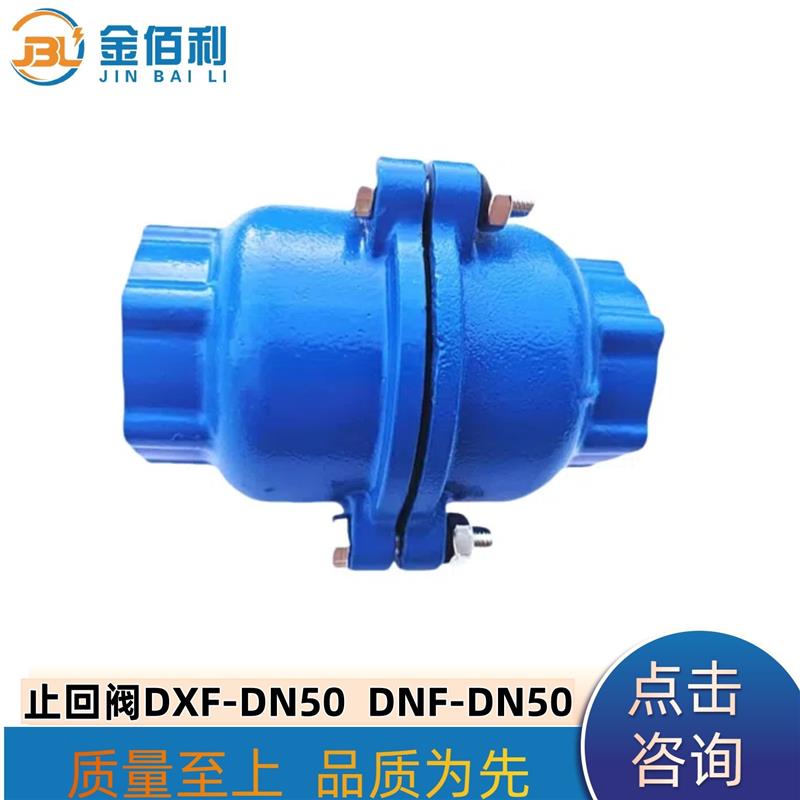 纽普兰止回阀 单向阀 逆止阀DXF-DNF-DN50