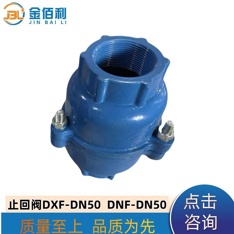纽普兰止回阀 单向阀 逆止阀DXF-DNF-DN50