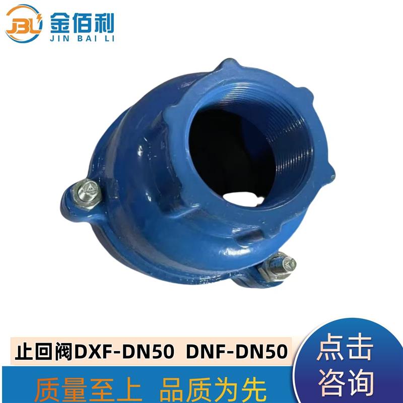 纽普兰止回阀 单向阀 逆止阀DXF-DNF-DN50