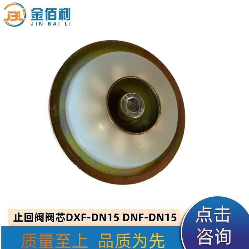 纽普兰止回阀阀芯 单向阀 逆止阀 DXF- ZNF-DN15
