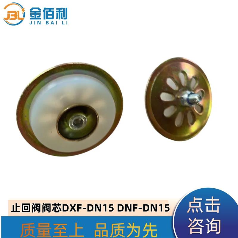 纽普兰止回阀阀芯 单向阀 逆止阀 DXF- ZNF-DN15