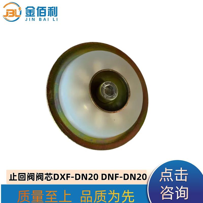 纽普兰止回阀单向阀阀芯逆止阀DXF-DNF-DN20