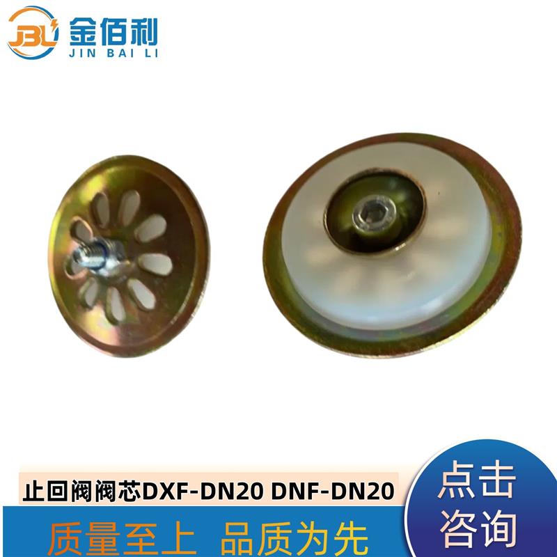 纽普兰止回阀单向阀阀芯逆止阀DXF-DNF-DN20