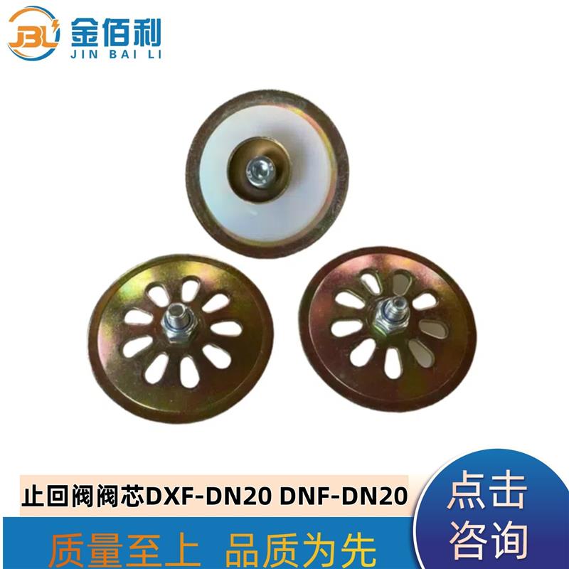 纽普兰止回阀单向阀阀芯逆止阀DXF-DNF-DN20