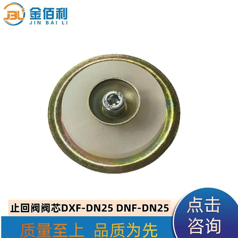 纽普兰止回阀单向阀逆止阀阀门DXF-DNF-DN25