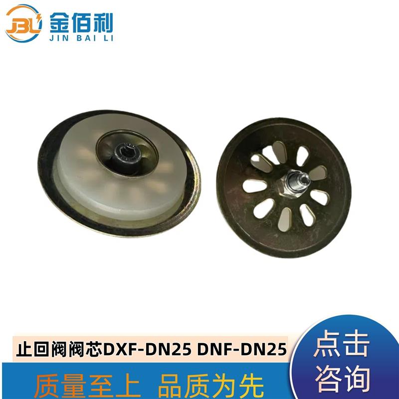 纽普兰止回阀单向阀逆止阀阀门DXF-DNF-DN25