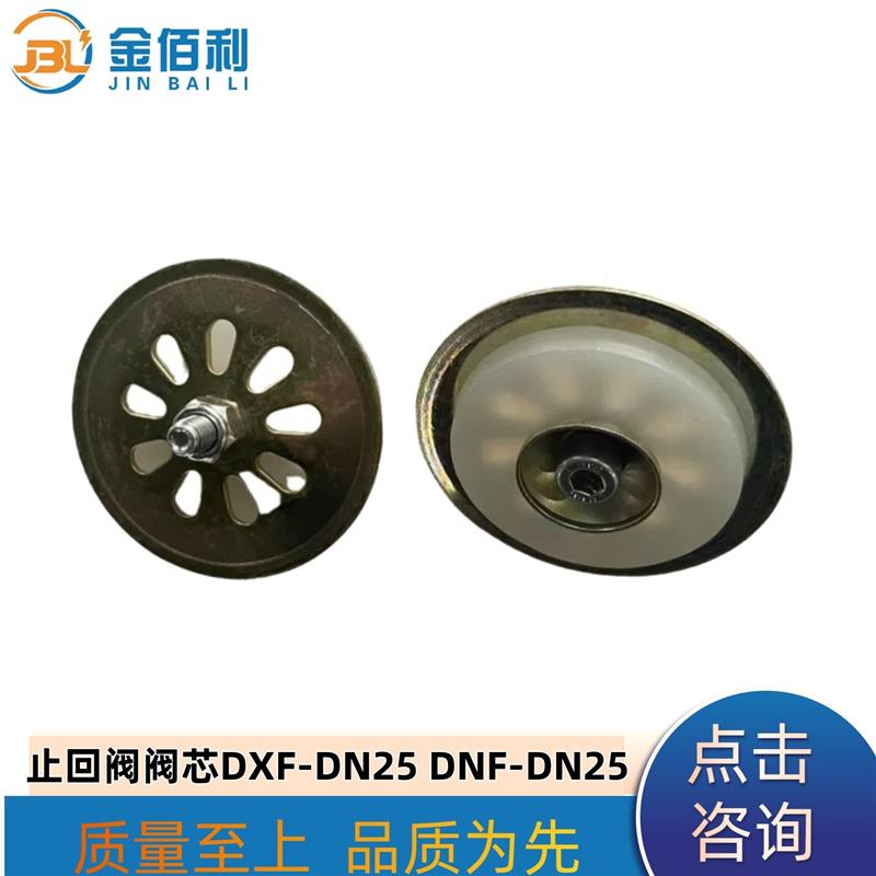 纽普兰止回阀单向阀逆止阀阀门DXF-DNF-DN25