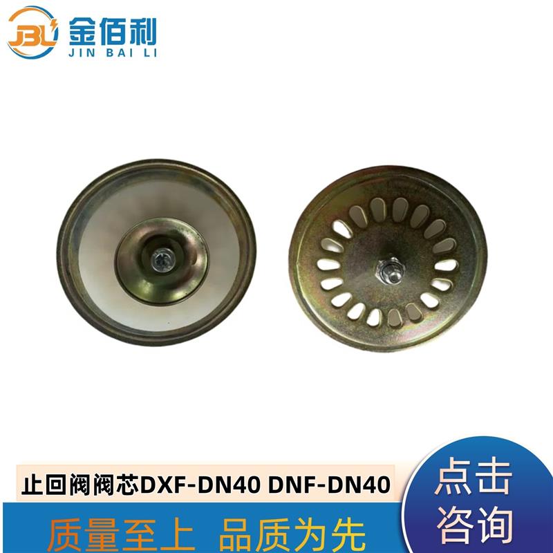 纽普兰止回阀阀芯单向阀逆止阀DXF-DNF-DN40