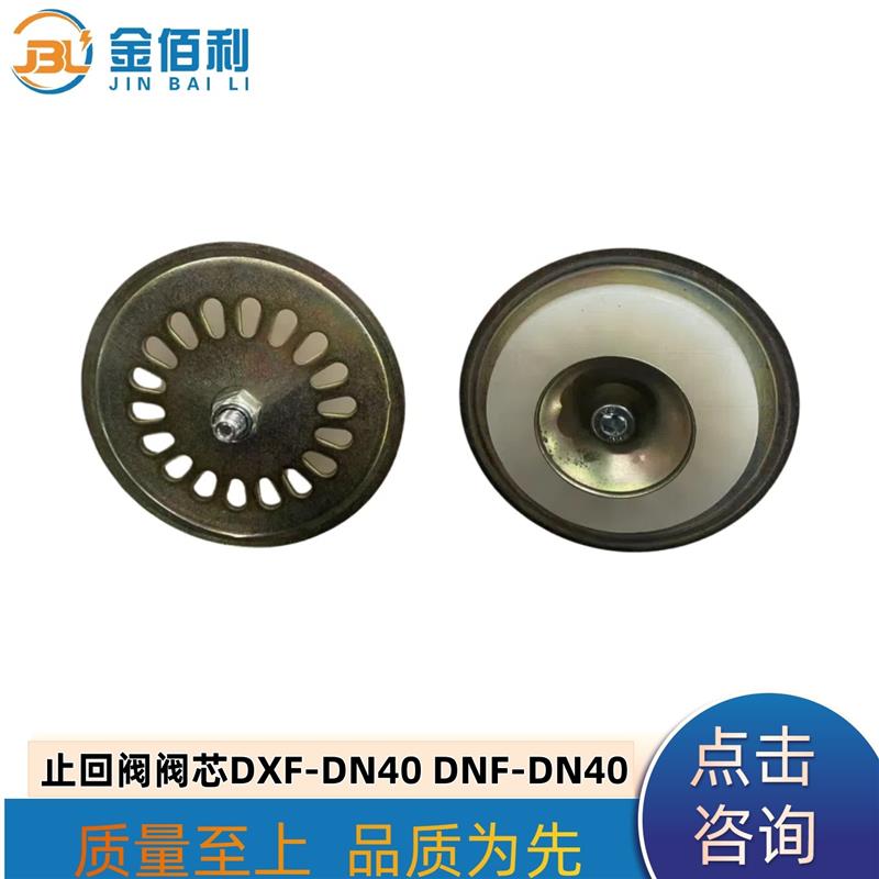 纽普兰止回阀阀芯单向阀逆止阀DXF-DNF-DN40