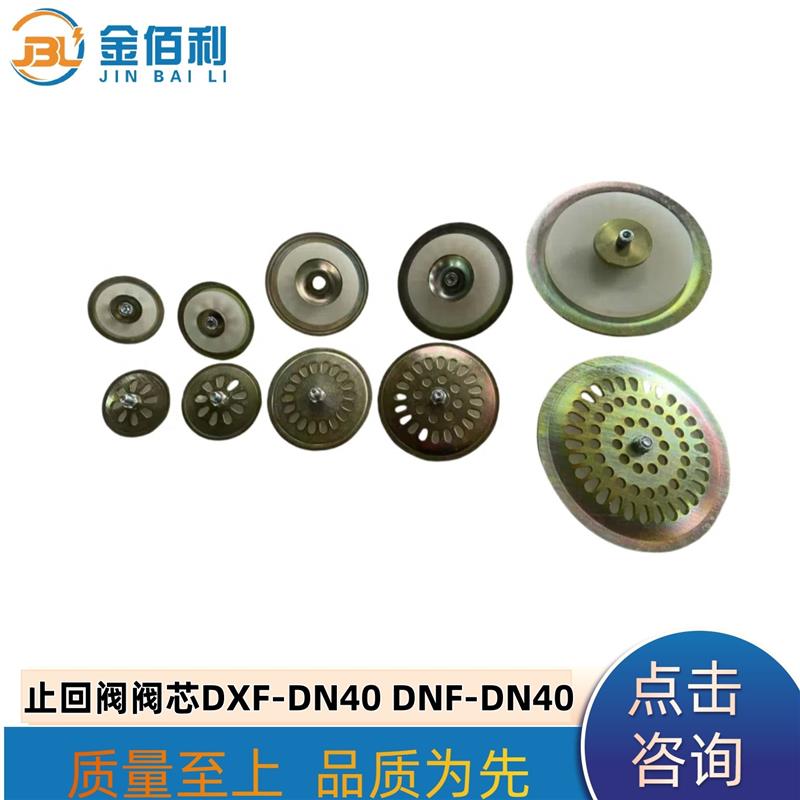 纽普兰止回阀阀芯单向阀逆止阀DXF-DNF-DN40