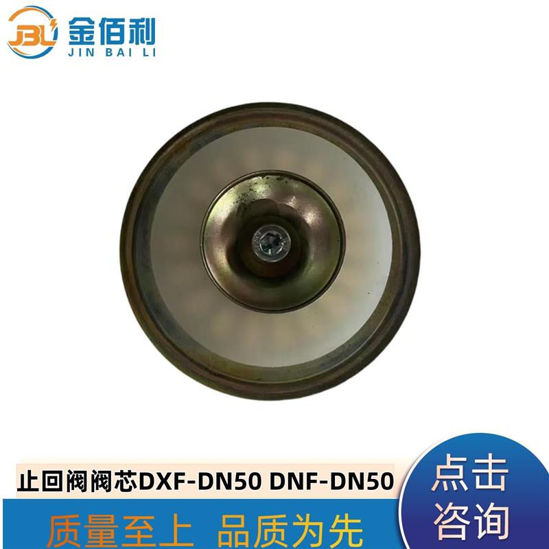 纽普兰止回阀单向阀阀芯逆止阀DXF-DNF-DN50
