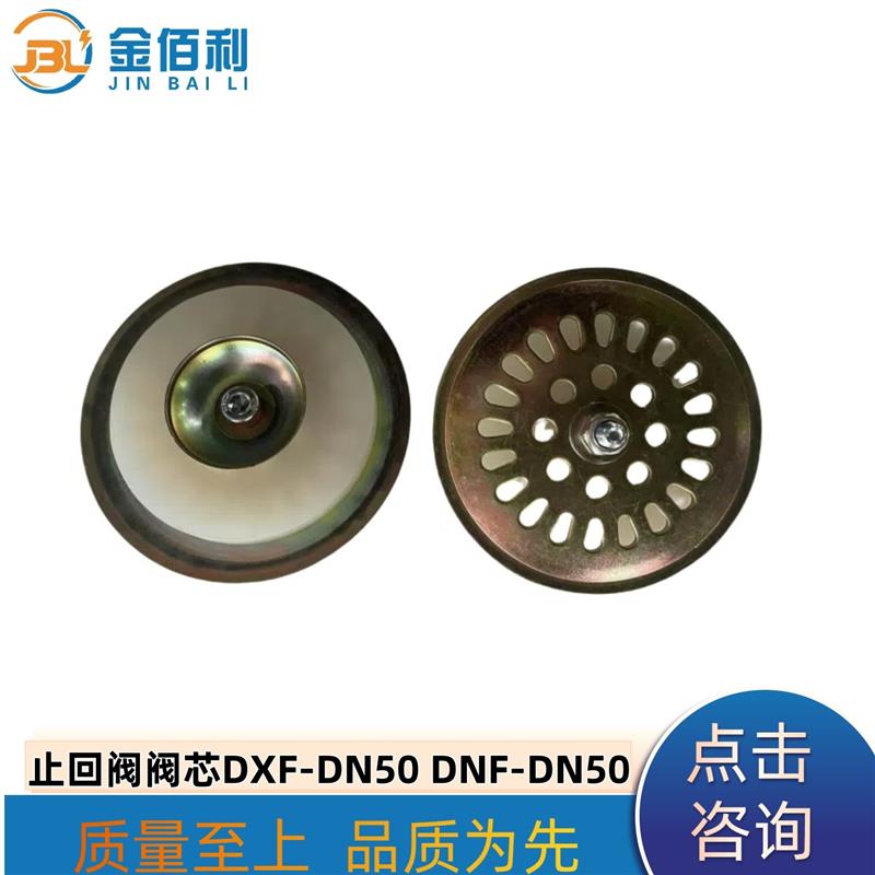 纽普兰止回阀单向阀阀芯逆止阀DXF-DNF-DN50