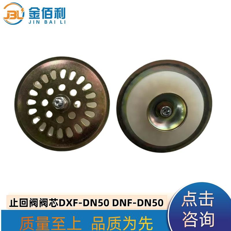 纽普兰止回阀单向阀阀芯逆止阀DXF-DNF-DN50