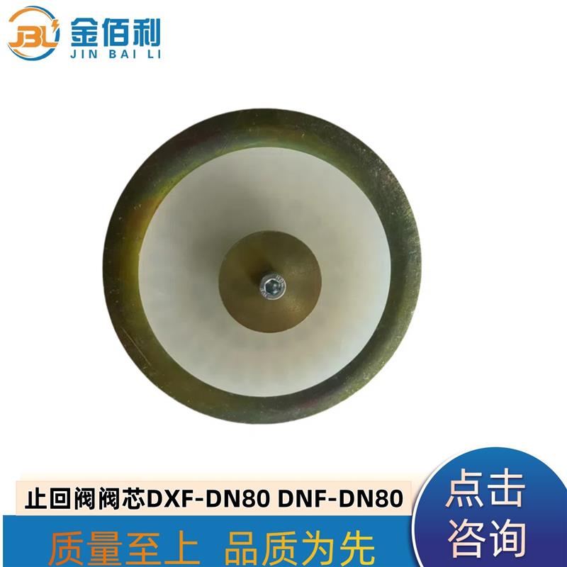纽普兰止回阀单向阀逆止阀阀门DXF-DNF-DN80