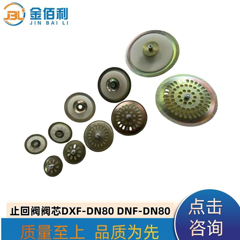 纽普兰止回阀单向阀逆止阀阀门DXF-DNF-DN80