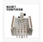 干式氮吹仪 型号:HHQ97-DCY-G25A