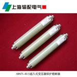 XRNT1-40.5/63 A变压器保护用高压限流熔断器