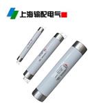 XRNT1-40.5/63 A变压器保护用高压限流熔断器