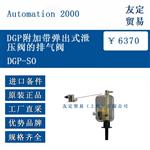 DGP-SO DGP附加带弹出式泄压阀的排气阀