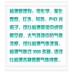 多功能復合氣體檢測儀 KF19-NGP40-60-Y