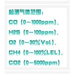 多功能復合氣體檢測儀 KF19-NGP40-60-Y