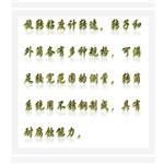 旋轉(zhuǎn)粘度計 型號:CY2-NXS-11B
