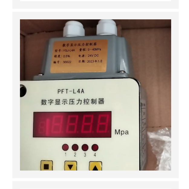 数显压力继电器 型号:BH54-PFT-L4A