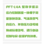 数显压力继电器 型号:BH54-PFT-L4A