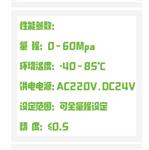 数显压力继电器 型号:BH54-PFT-L4A