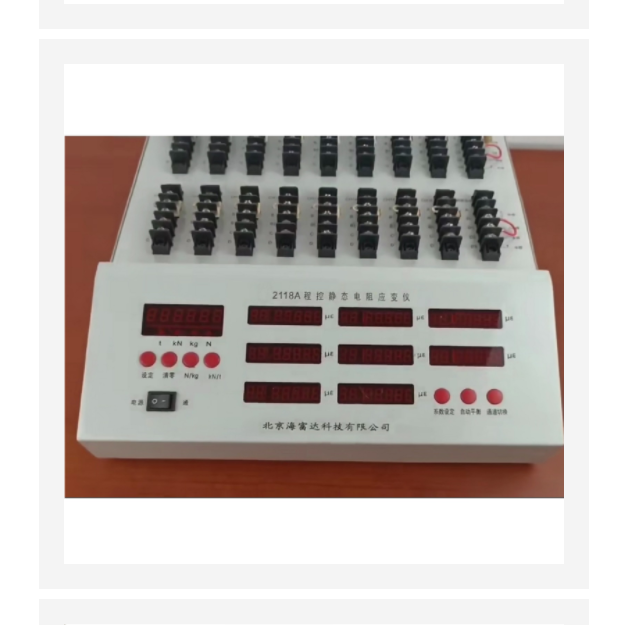 程控靜態(tài)電阻應(yīng)變儀 型號(hào):B3417-XL2118A 