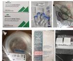 馬爾文 5微米乳膠球粒子  型號:LTX4205