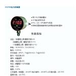 可調(diào)整壓力變送器XS2100控制輸出