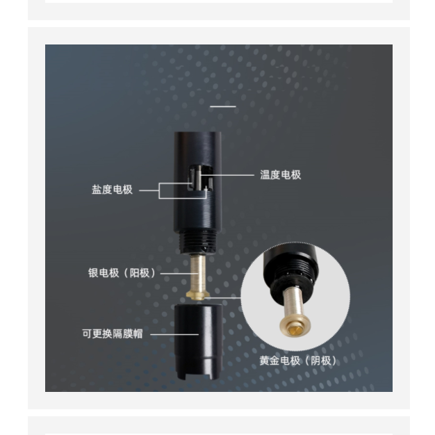 便攜式溶解氧儀 型號(hào):SSA29-SX716