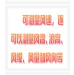 多功能風(fēng)速儀 型號:HY3C-AM-4836C
