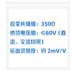 電子引伸計(jì)（中西器材）ZXQC-YYU-25-100