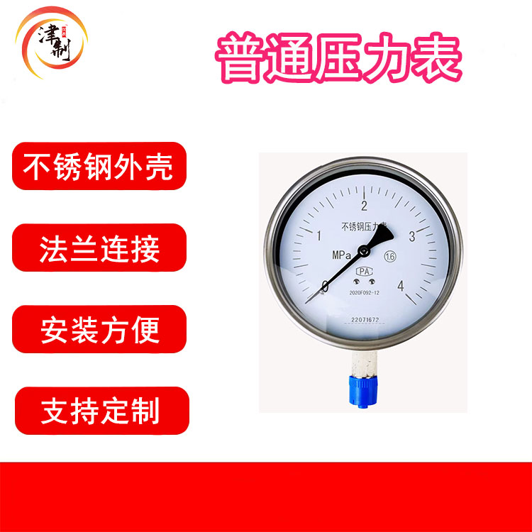 壓力表 數(shù)字顯示 雙供電 熱力管網(wǎng) 山東