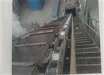 LD型鏈斗輸送機(jī)