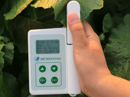 泛勝科技YLS葉綠素測(cè)定儀 ZZY植株?duì)I養(yǎng)測(cè)定儀