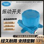 PR-B-III电子振动开关带报警